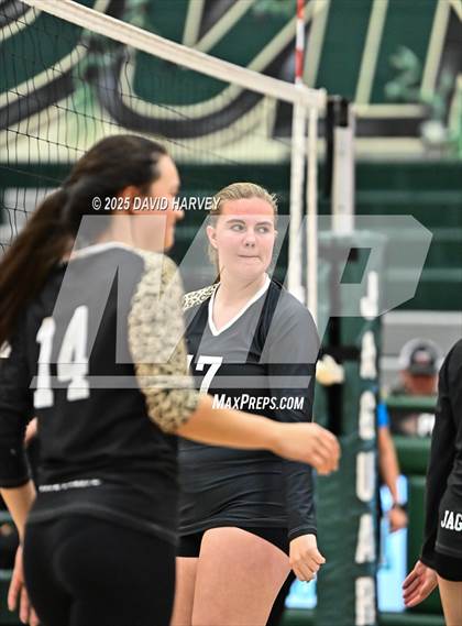 Thumbnail 2 in JV: Pomona @ D'Evelyn photogallery.