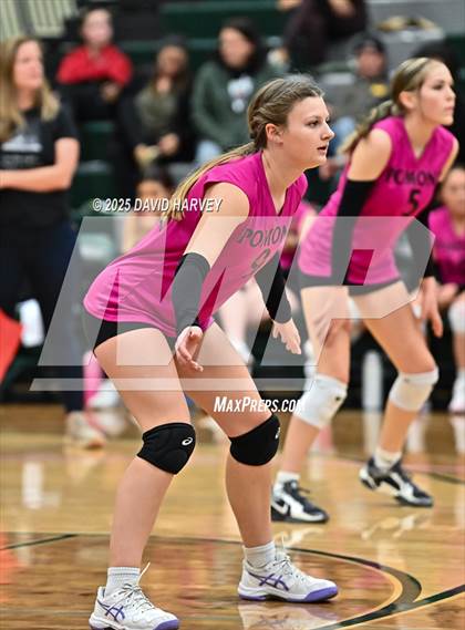 Thumbnail 3 in JV: Pomona @ D'Evelyn photogallery.