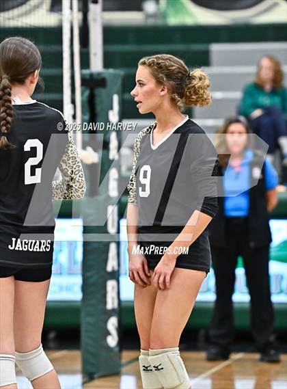 Thumbnail 3 in JV: Pomona @ D'Evelyn photogallery.