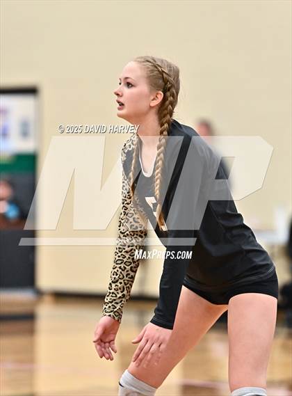 Thumbnail 2 in JV: Pomona @ D'Evelyn photogallery.