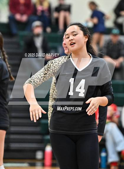 Thumbnail 2 in JV: Pomona @ D'Evelyn photogallery.