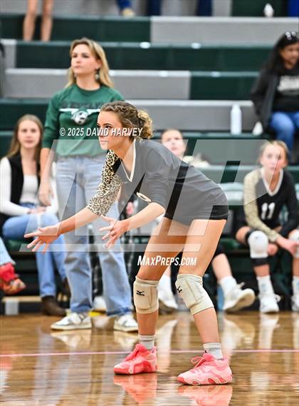 Thumbnail 3 in JV: Pomona @ D'Evelyn photogallery.