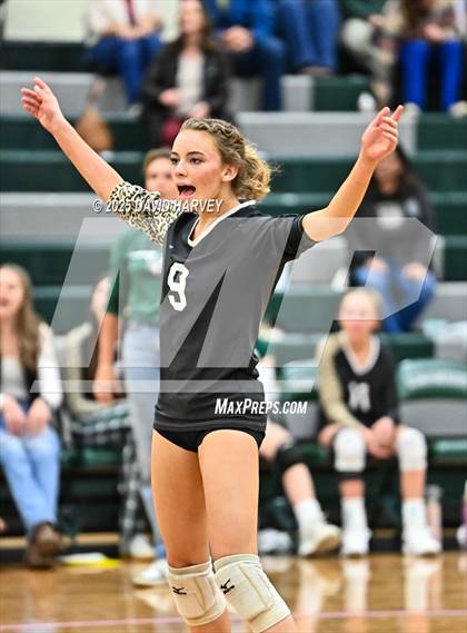 Thumbnail 2 in JV: Pomona @ D'Evelyn photogallery.