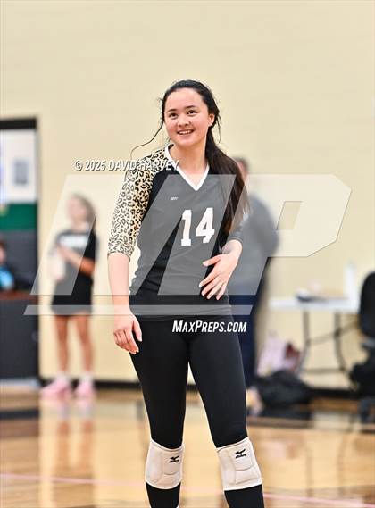 Thumbnail 3 in JV: Pomona @ D'Evelyn photogallery.