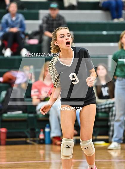 Thumbnail 3 in JV: Pomona @ D'Evelyn photogallery.