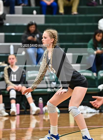 Thumbnail 1 in JV: Pomona @ D'Evelyn photogallery.