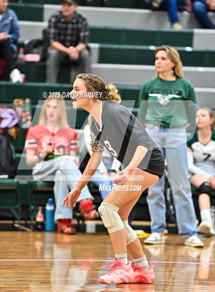 Thumbnail 1 in JV: Pomona @ D'Evelyn photogallery.