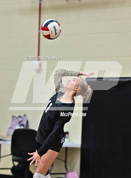 Thumbnail 1 in JV: Pomona @ D'Evelyn photogallery.