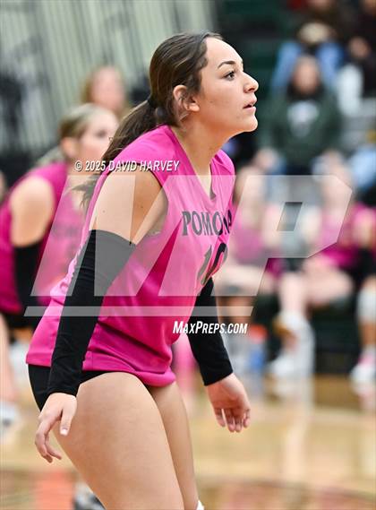 Thumbnail 1 in JV: Pomona @ D'Evelyn photogallery.