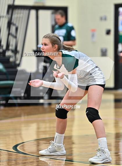 Thumbnail 3 in JV: Pomona @ D'Evelyn photogallery.