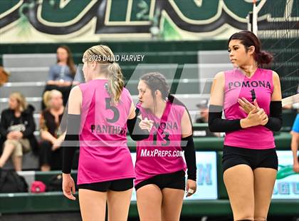 Thumbnail 3 in JV: Pomona @ D'Evelyn photogallery.