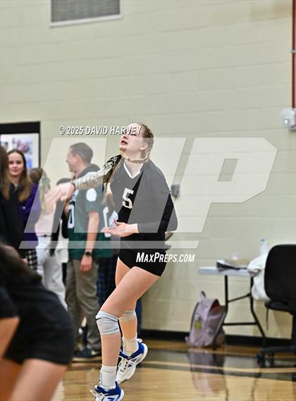 Thumbnail 3 in JV: Pomona @ D'Evelyn photogallery.