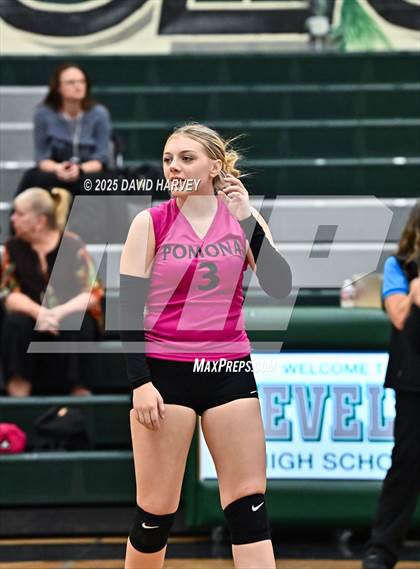 Thumbnail 3 in JV: Pomona @ D'Evelyn photogallery.