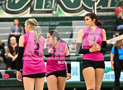 Thumbnail 2 in JV: Pomona @ D'Evelyn photogallery.