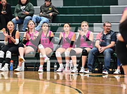 Thumbnail 1 in JV: Pomona @ D'Evelyn photogallery.