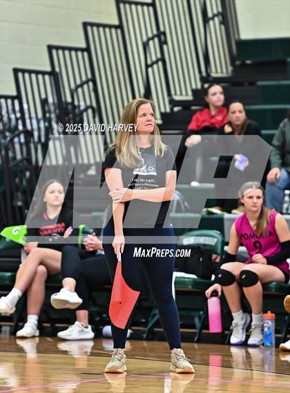 Thumbnail 2 in JV: Pomona @ D'Evelyn photogallery.