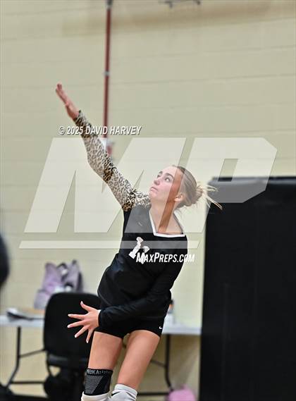 Thumbnail 2 in JV: Pomona @ D'Evelyn photogallery.