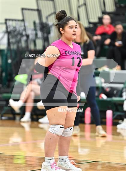 Thumbnail 2 in JV: Pomona @ D'Evelyn photogallery.