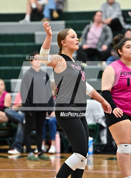 Thumbnail 2 in JV: Pomona @ D'Evelyn photogallery.