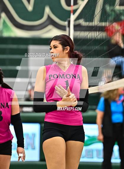 Thumbnail 1 in JV: Pomona @ D'Evelyn photogallery.