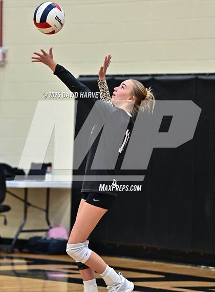 Thumbnail 1 in JV: Pomona @ D'Evelyn photogallery.