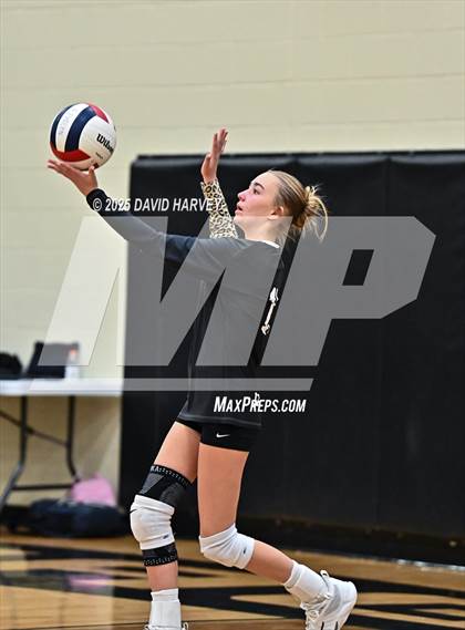 Thumbnail 3 in JV: Pomona @ D'Evelyn photogallery.