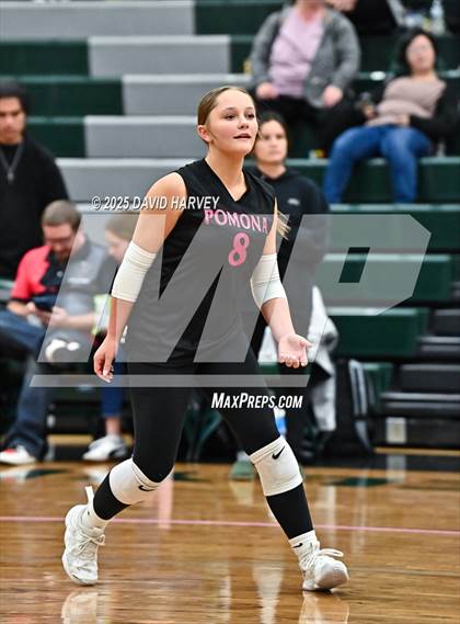 Thumbnail 3 in JV: Pomona @ D'Evelyn photogallery.