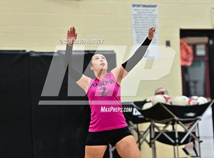 Thumbnail 1 in JV: Pomona @ D'Evelyn photogallery.