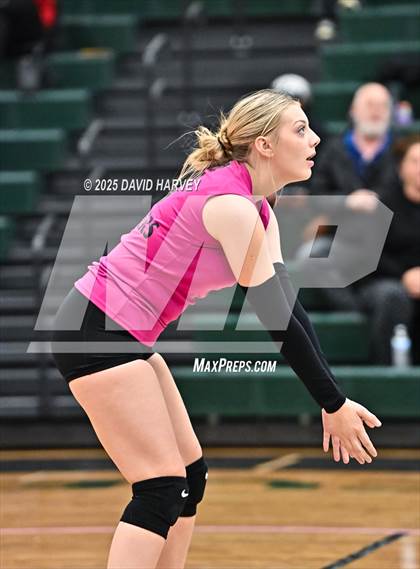 Thumbnail 2 in JV: Pomona @ D'Evelyn photogallery.