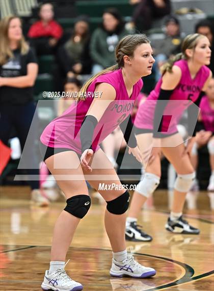 Thumbnail 1 in JV: Pomona @ D'Evelyn photogallery.