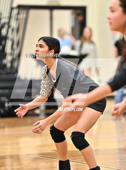 Thumbnail 3 in JV: Pomona @ D'Evelyn photogallery.