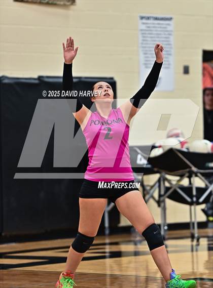 Thumbnail 3 in JV: Pomona @ D'Evelyn photogallery.