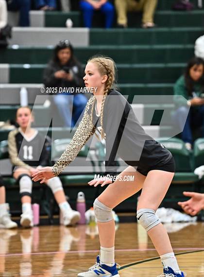 Thumbnail 2 in JV: Pomona @ D'Evelyn photogallery.