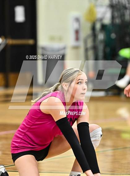 Thumbnail 3 in JV: Pomona @ D'Evelyn photogallery.