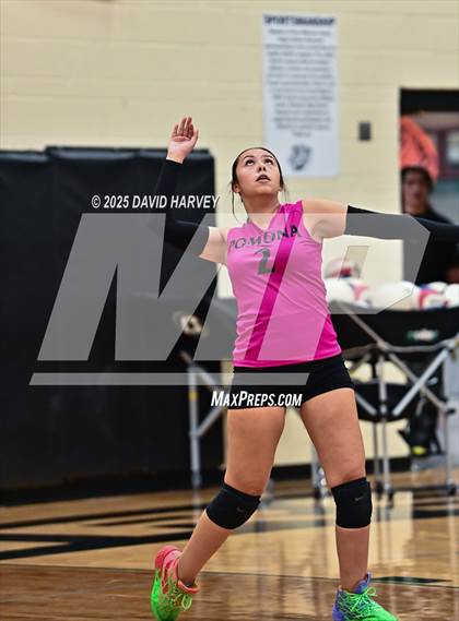 Thumbnail 1 in JV: Pomona @ D'Evelyn photogallery.