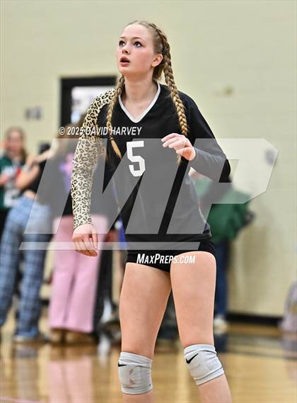 Thumbnail 2 in JV: Pomona @ D'Evelyn photogallery.