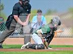 Photo from the gallery "Columbine @ Mountain Vista"