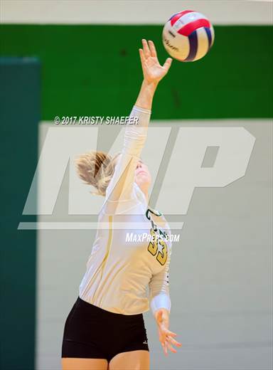 null - Photo 41