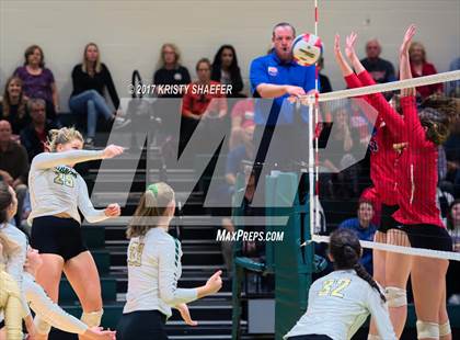 Thumbnail 3 in Sanderson @ Cardinal Gibbons photogallery.