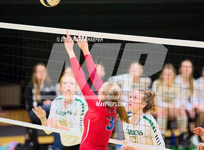Thumbnail 1 in Sanderson @ Cardinal Gibbons photogallery.