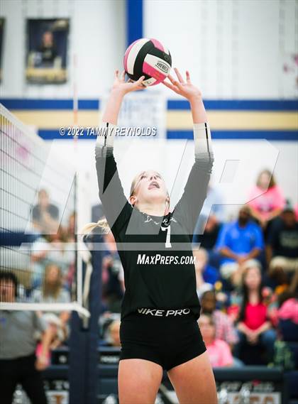 Thumbnail 2 in Graford @ Perrin-Whitt photogallery.