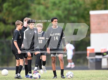 Thumbnail 1 in Panther Creek @ Holly Springs photogallery.