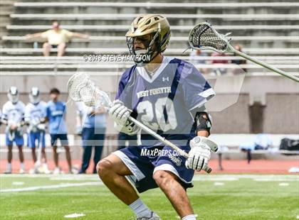 Thumbnail 1 in West Forsyth @ Cambridge photogallery.