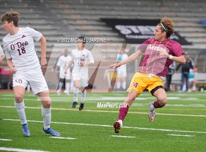 Thumbnail 2 in O'Dea @ Lakeside (WIAA 3A Semifinal) photogallery.