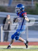 Photo from the gallery "Windsor @ Analy"