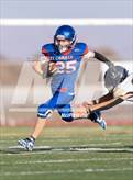 Photo from the gallery "Windsor @ Analy"