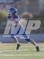 Photo from the gallery "Windsor @ Analy"