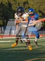 Photo from the gallery "Windsor @ Analy"