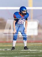 Photo from the gallery "Windsor @ Analy"
