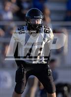 Photo from the gallery "Windsor @ Analy"